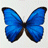 Community Builder Avatar