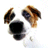 Community Builder Avatar